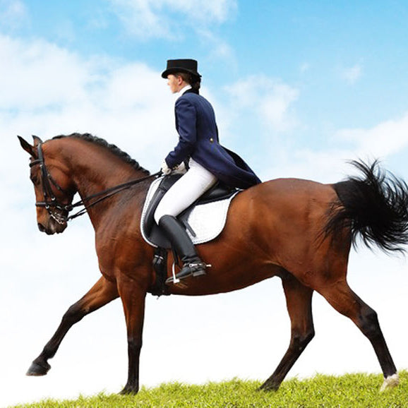 Подпруга Неопреновая