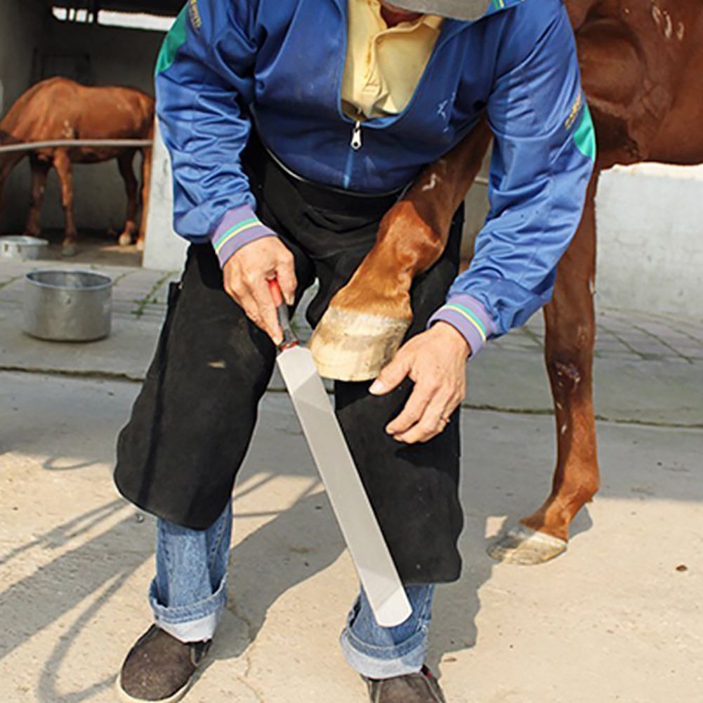 Рашпиль Для Копыт