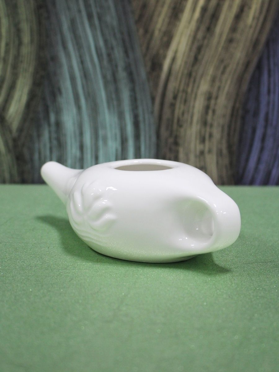 Нети Пот Чайник / Ирригатор