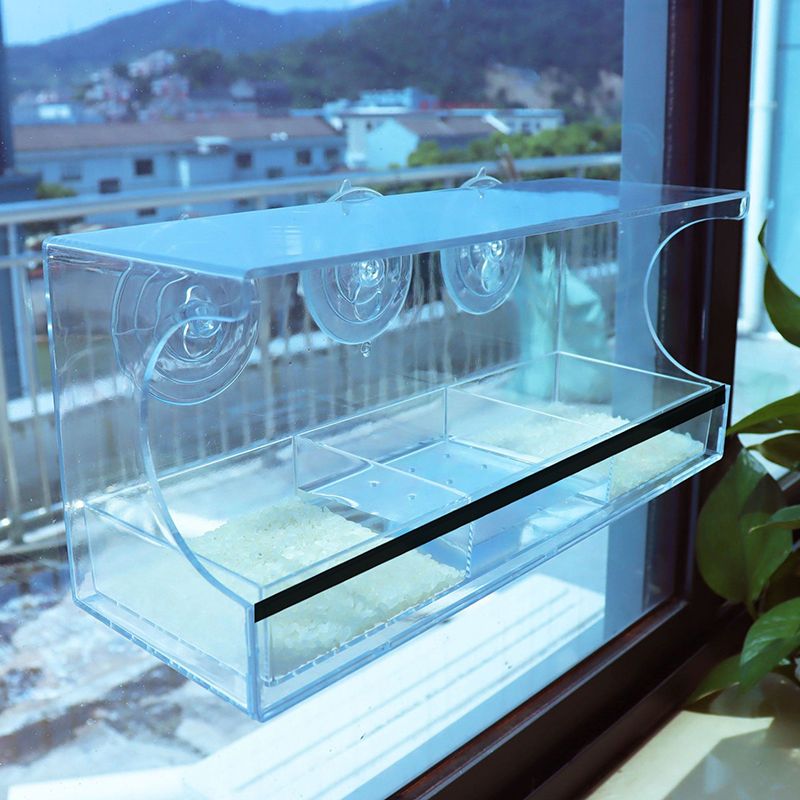 Кормушка Для Птиц На Окно Прозрачная На Присосках