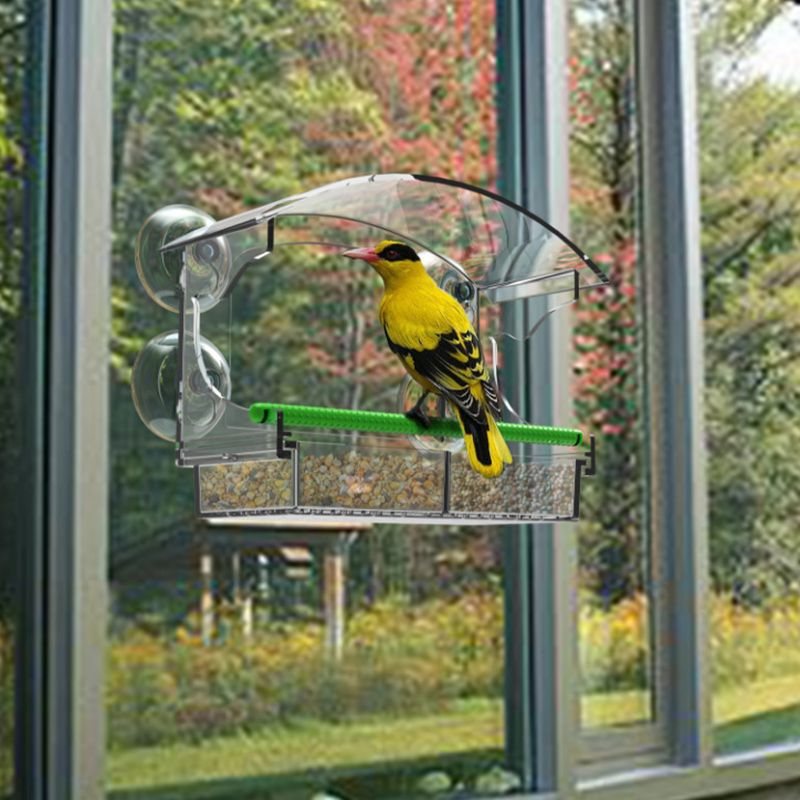 Кормушка Для Птиц На Окно Прозрачная На Присосках