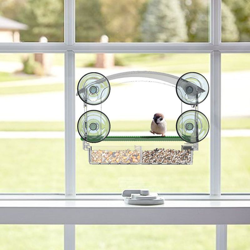 Кормушка Для Птиц На Окно Прозрачная На Присосках