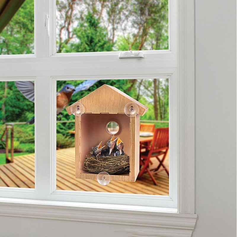 Кормушка Для Птиц На Окно Прозрачная На Присосках