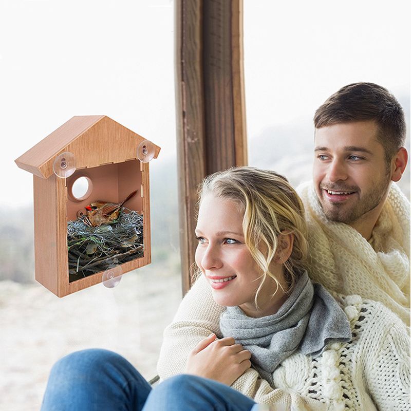 Кормушка Для Птиц На Окно Прозрачная На Присосках