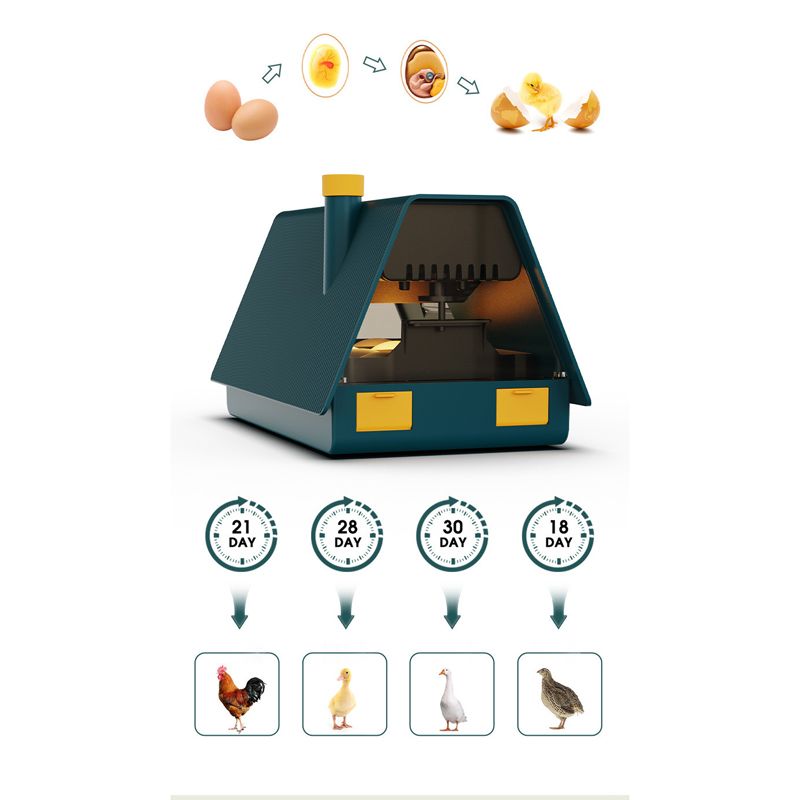 Инкубатор Для Яиц Автоматический