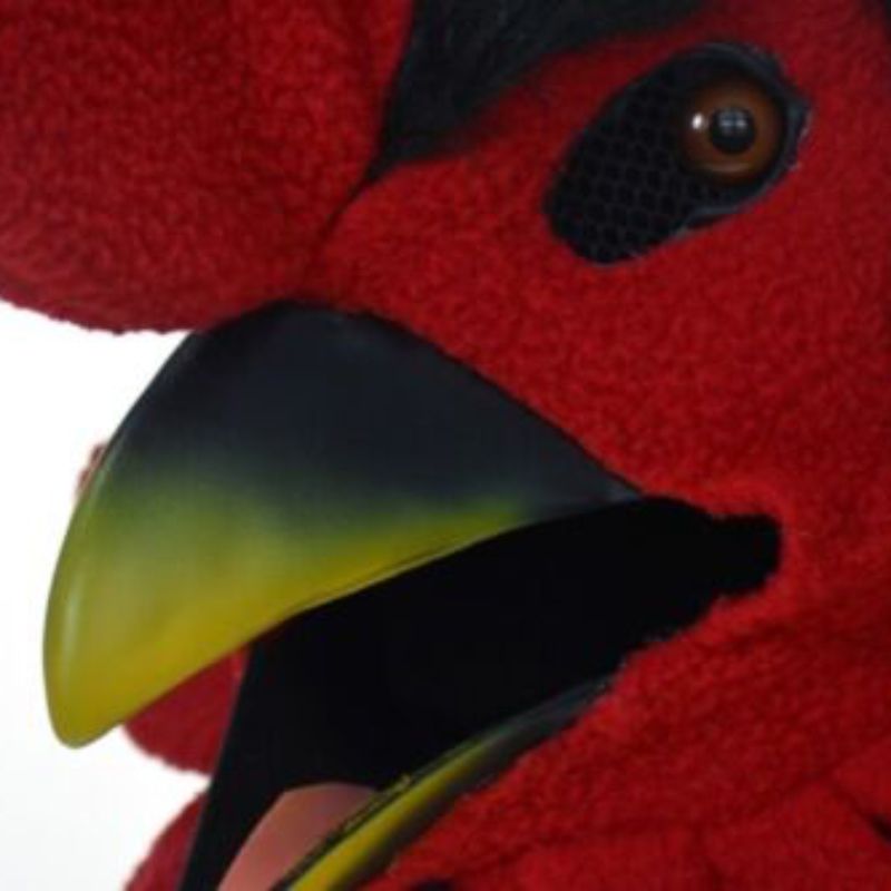 Маска карнавальная / Маска Петуха