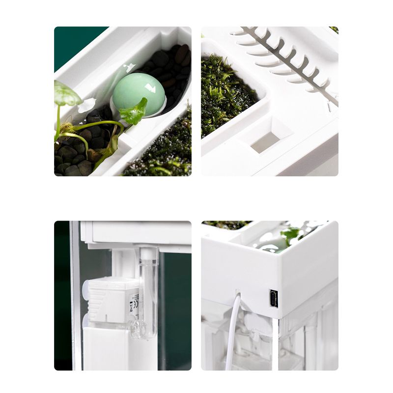 Аквариум Для Петушка