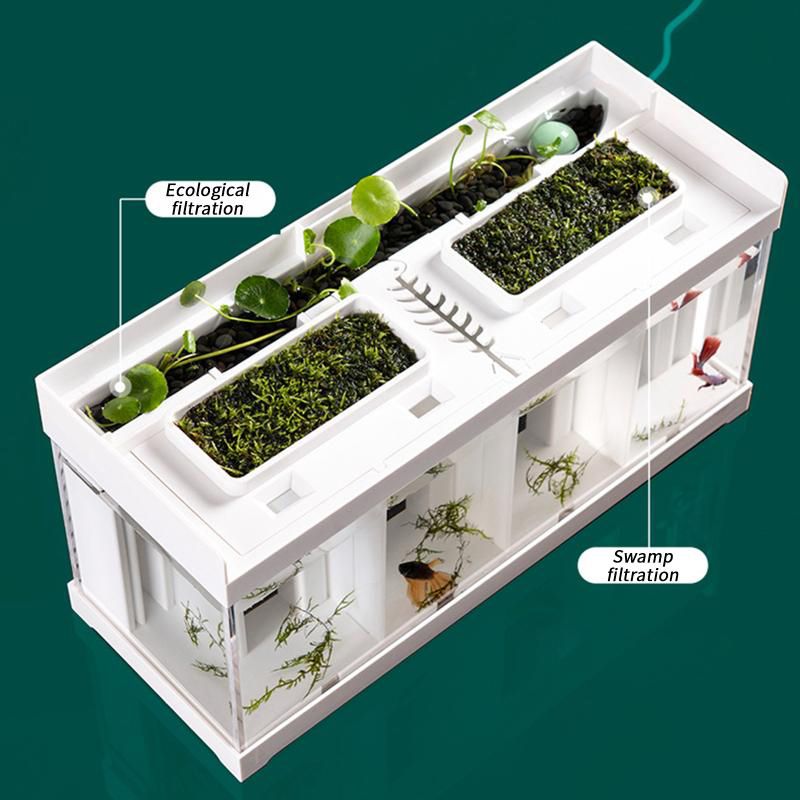 Аквариум Для Петушка