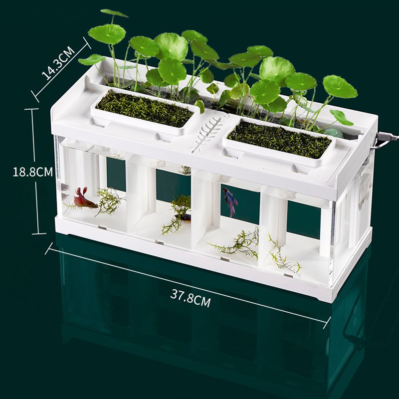 Аквариум Для Петушка