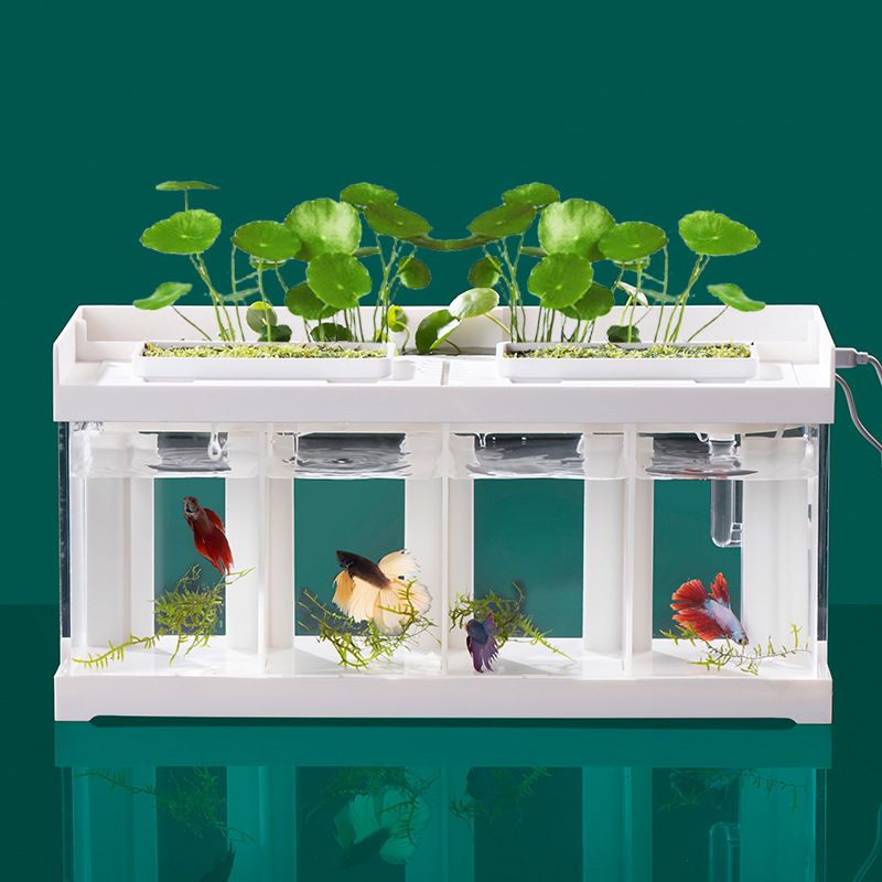 Аквариум Для Петушка