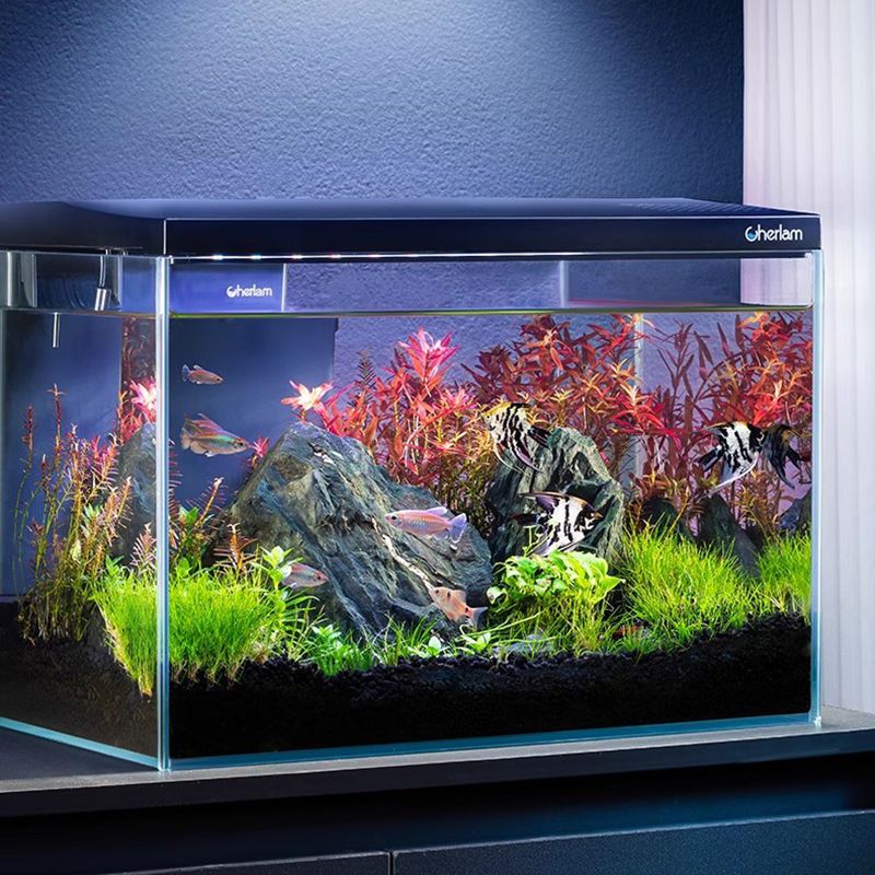 Аквариум Для Рыбок