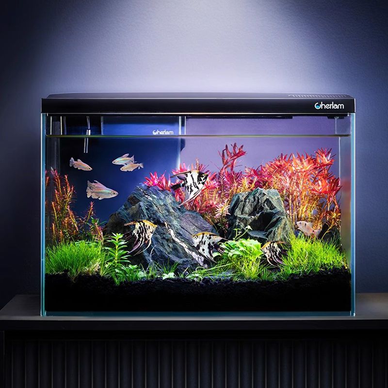 Аквариум Для Рыбок