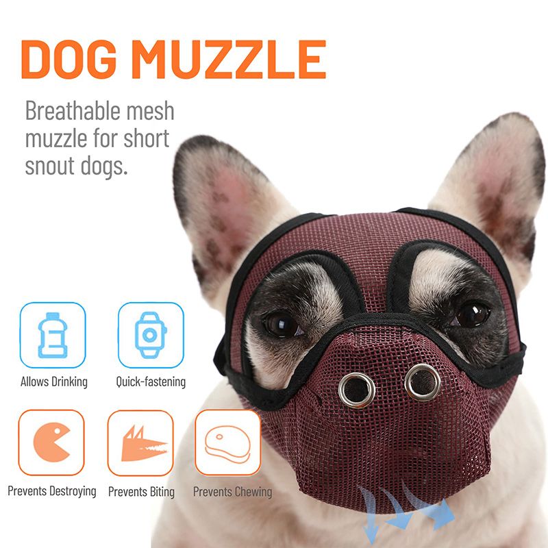Намордник Для Французского Бульдога