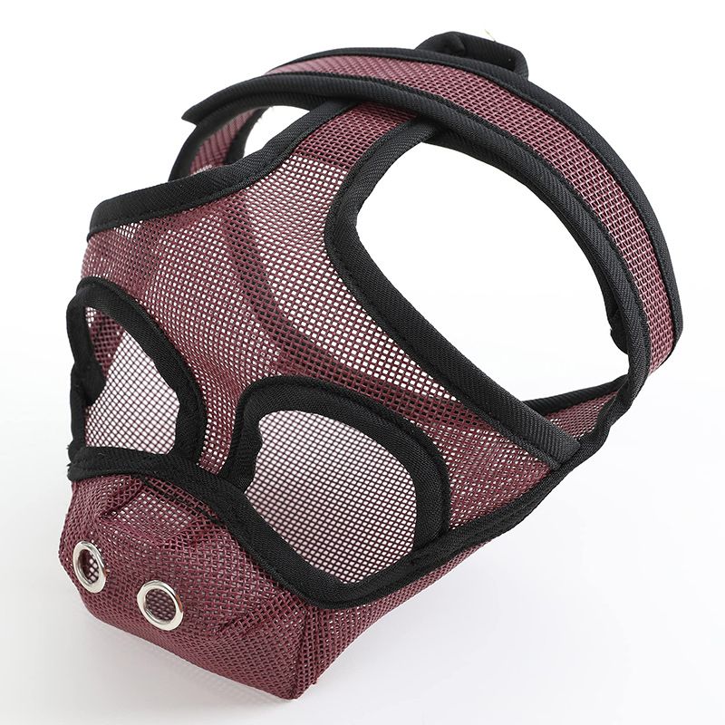 Намордник Для Французского Бульдога