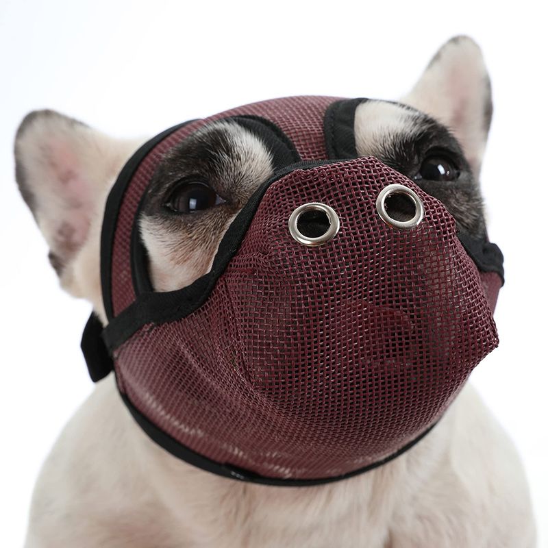Намордник Для Французского Бульдога