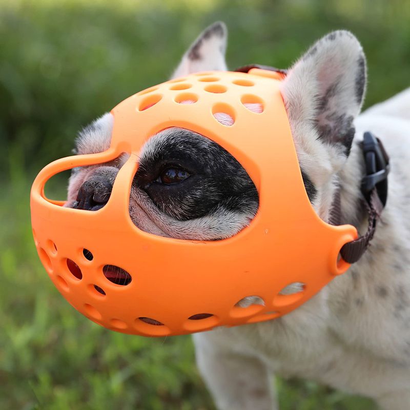 Намордник Для Французского Бульдога