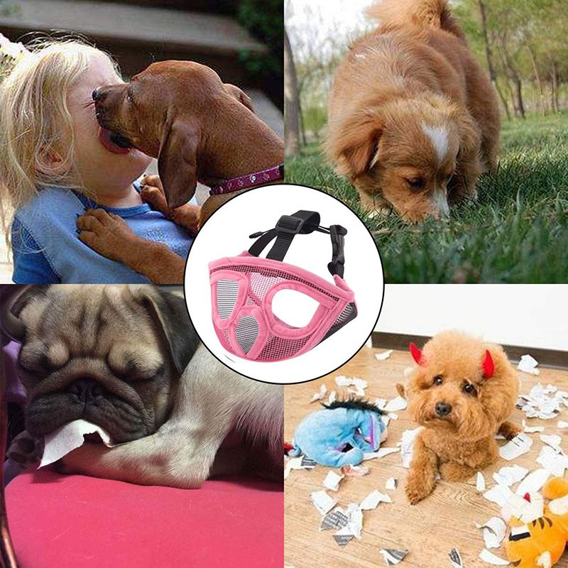 Намордник Для Французского Бульдога