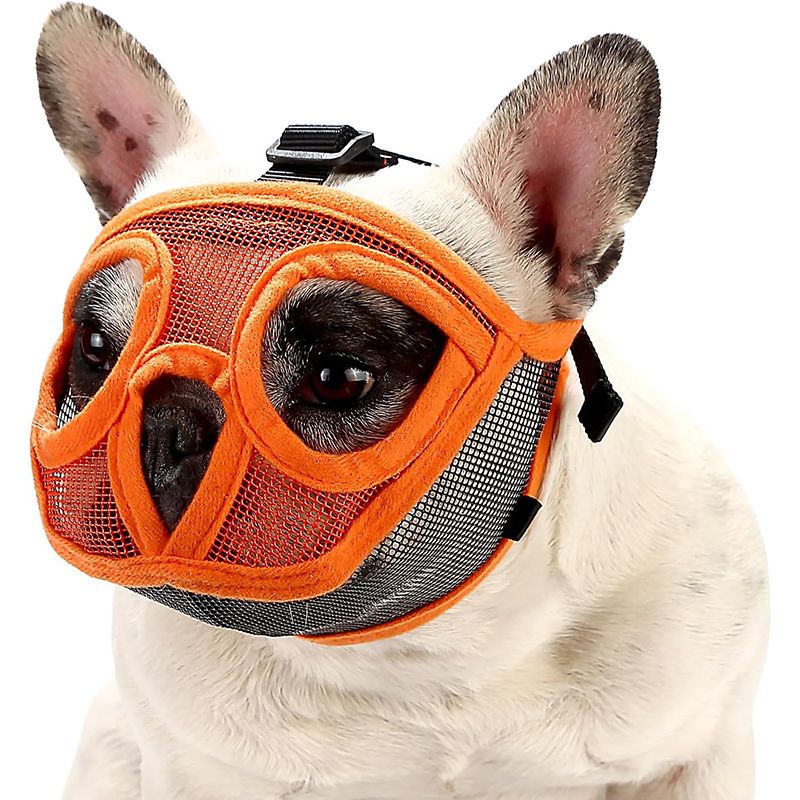 Намордник Для Французского Бульдога