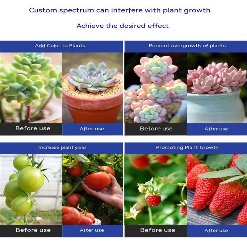 Минифермер Фитолампа