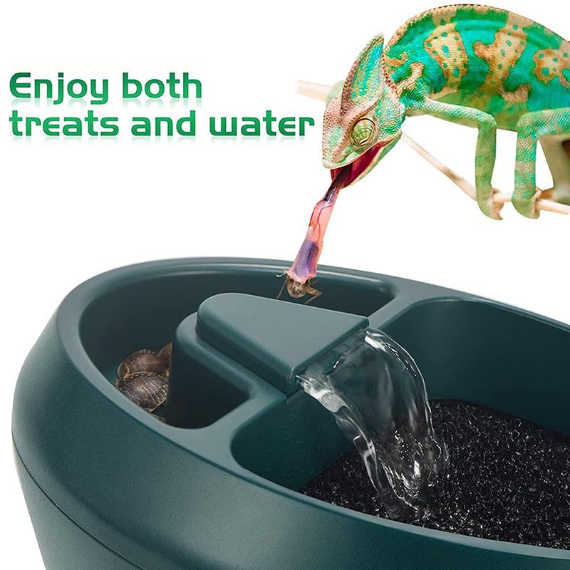 Поилка Для Рептилий