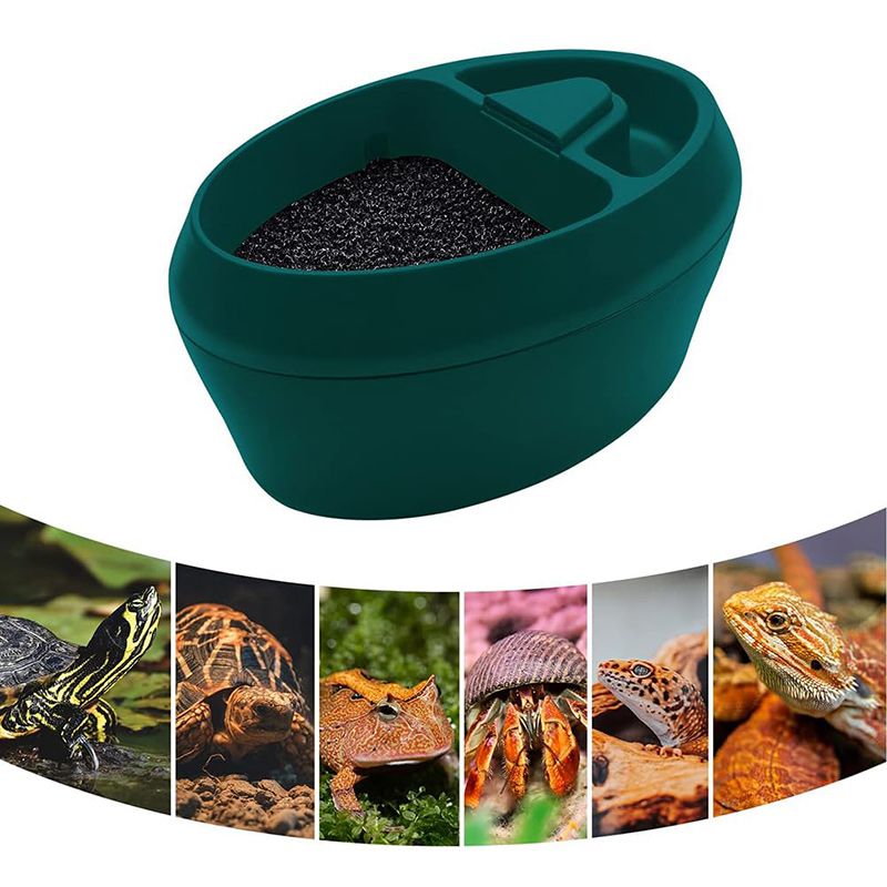 Поилка Для Рептилий