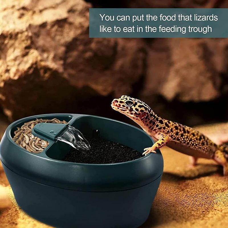 Поилка Для Рептилий