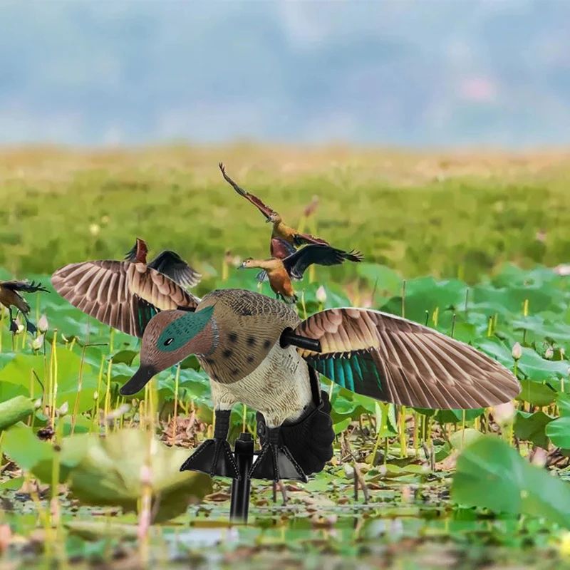 Махокрыл Утка Для Охоты