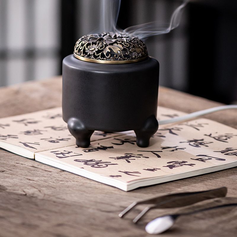 Бахурница Электрическая