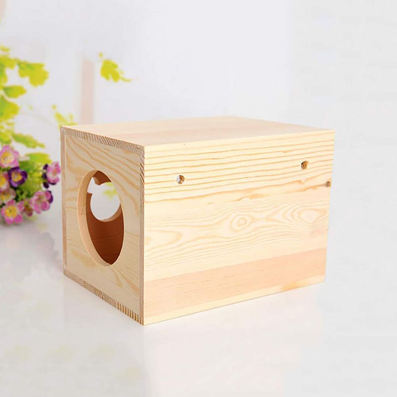 Витрина Для Шиншилл