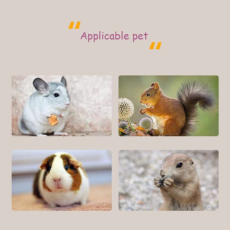 Витрина Для Шиншилл