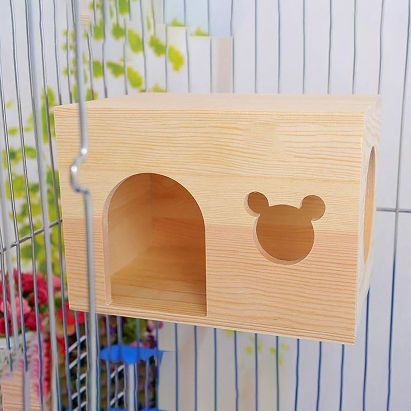 Витрина Для Шиншилл