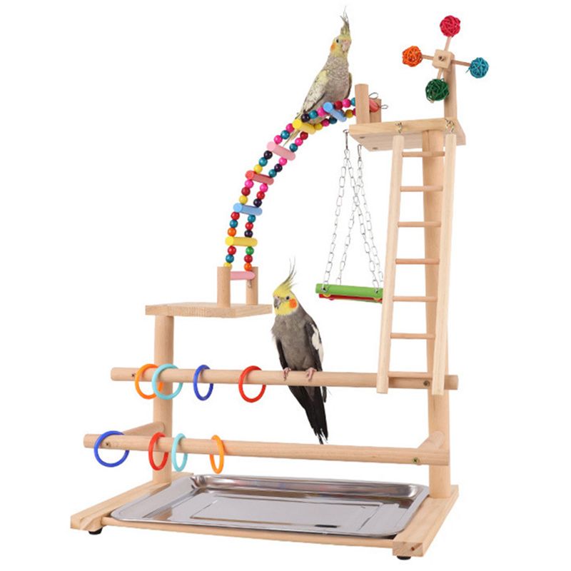 Стенд Для Попугая