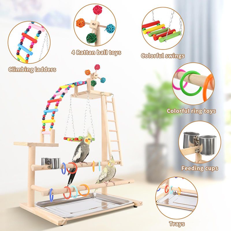Стенд Для Попугая