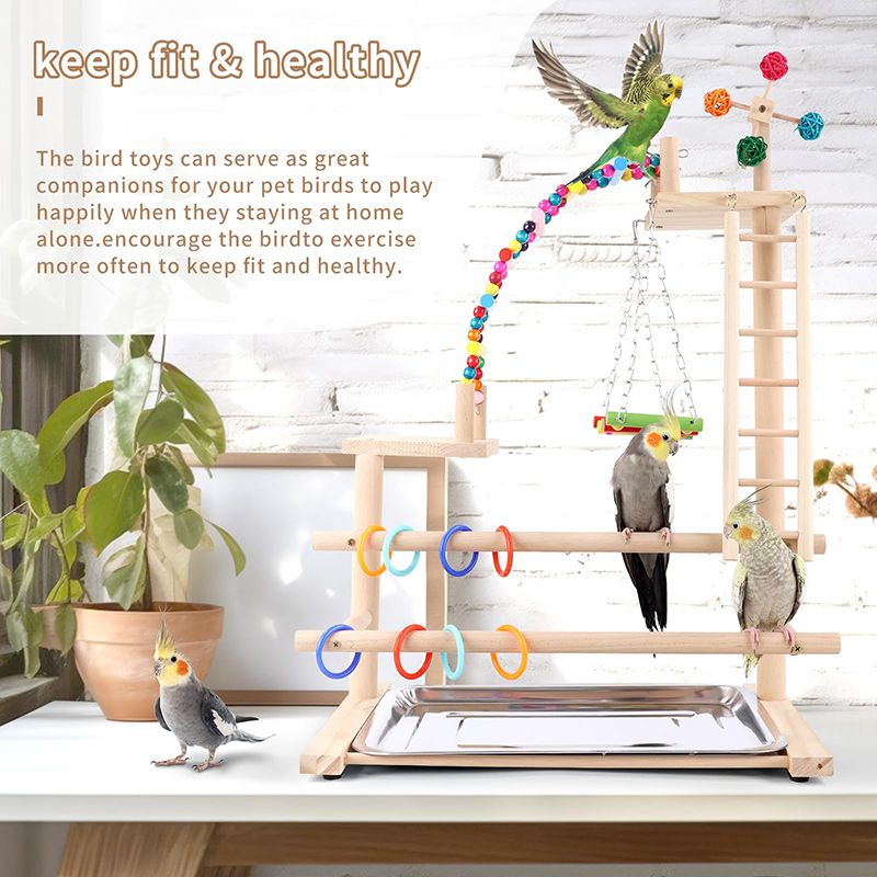 Стенд Для Попугая