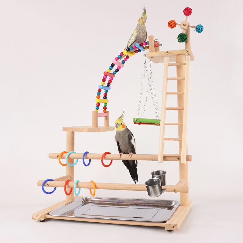 Стенд Для Попугая