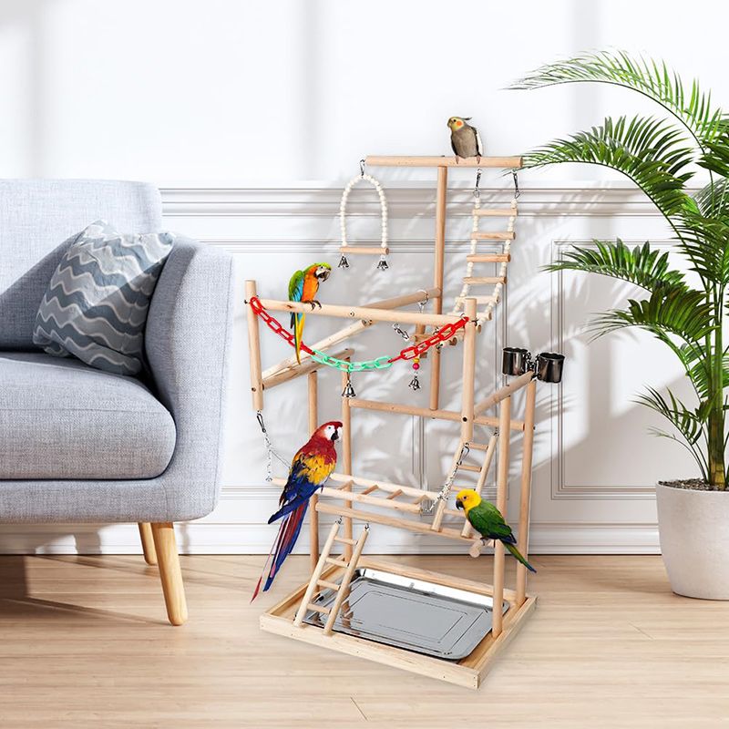 Стенд Для Попугая