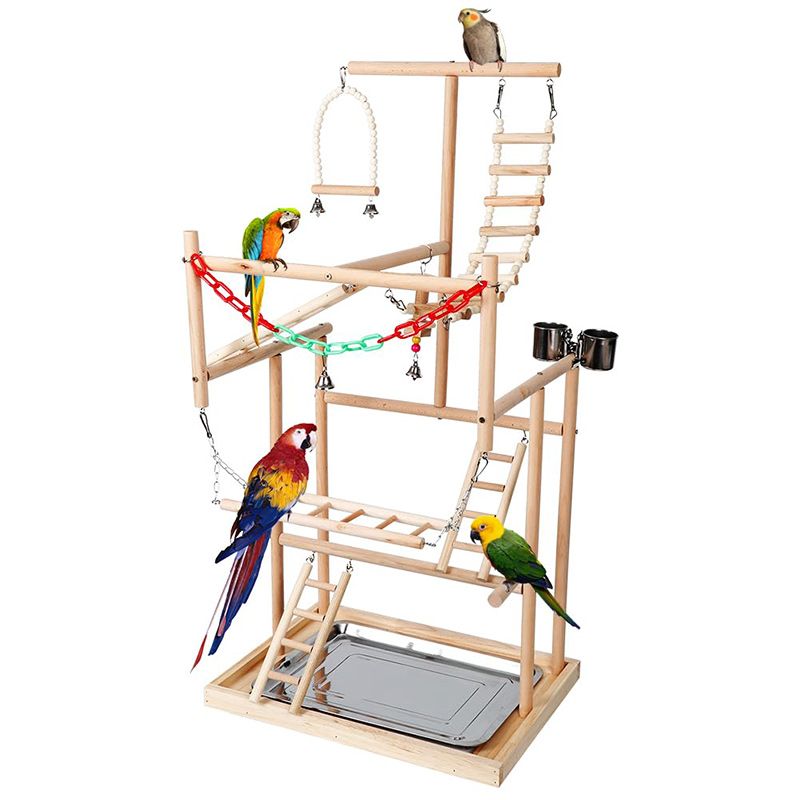 Стенд Для Попугая