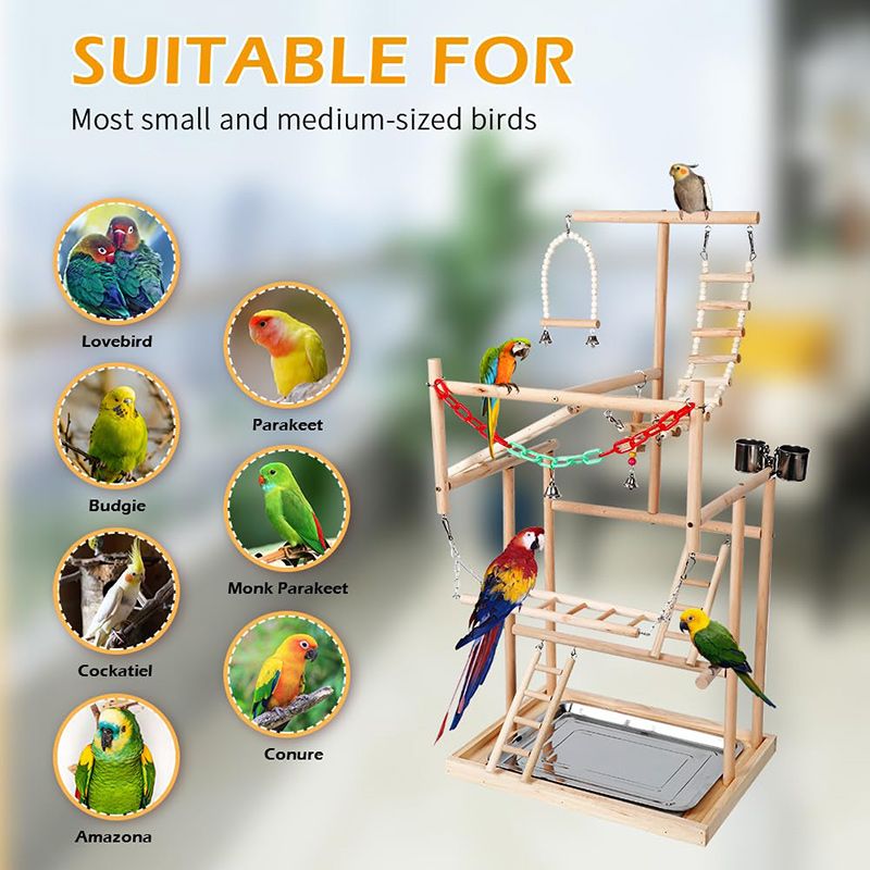 Стенд Для Попугая