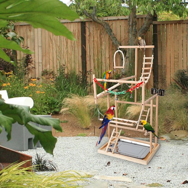 Стенд Для Попугая