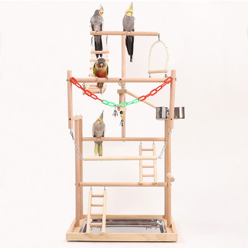 Стенд Для Попугая