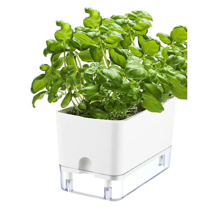 Кашпо С Фитильным Поливом