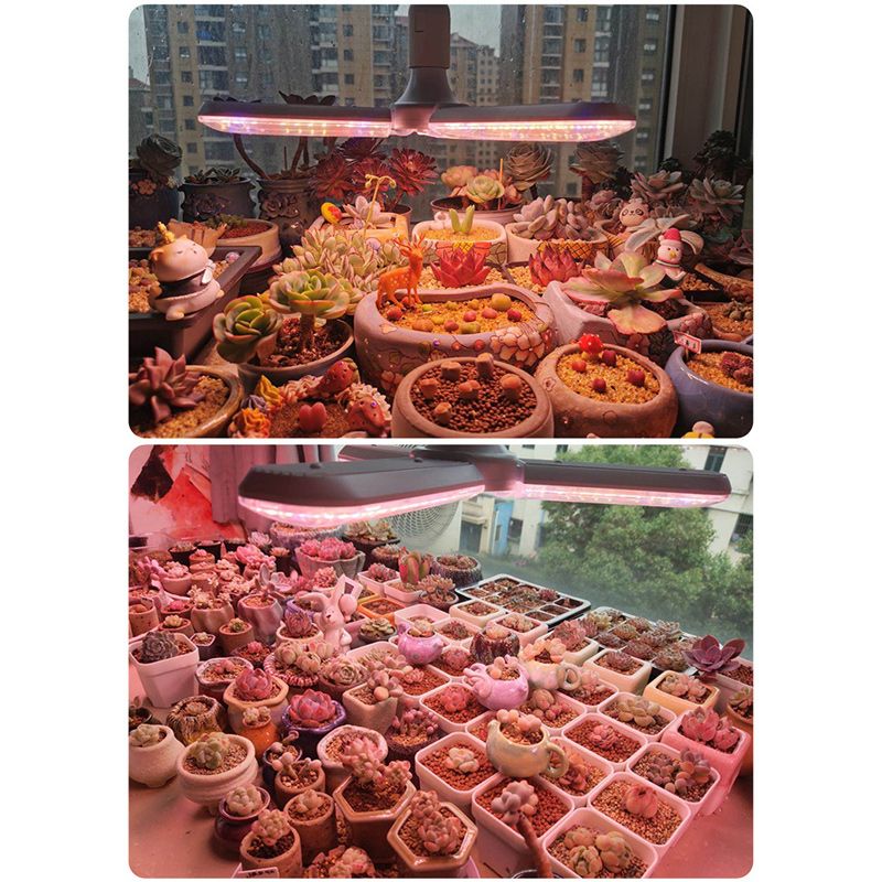 Минифермер Фитолампа