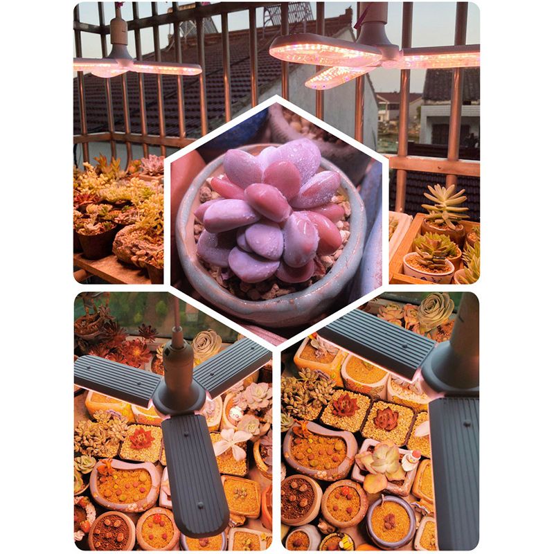 Минифермер Фитолампа