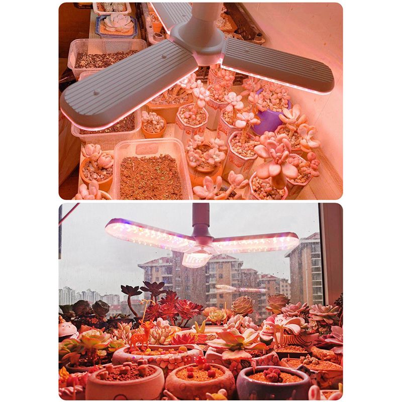 Минифермер Фитолампа