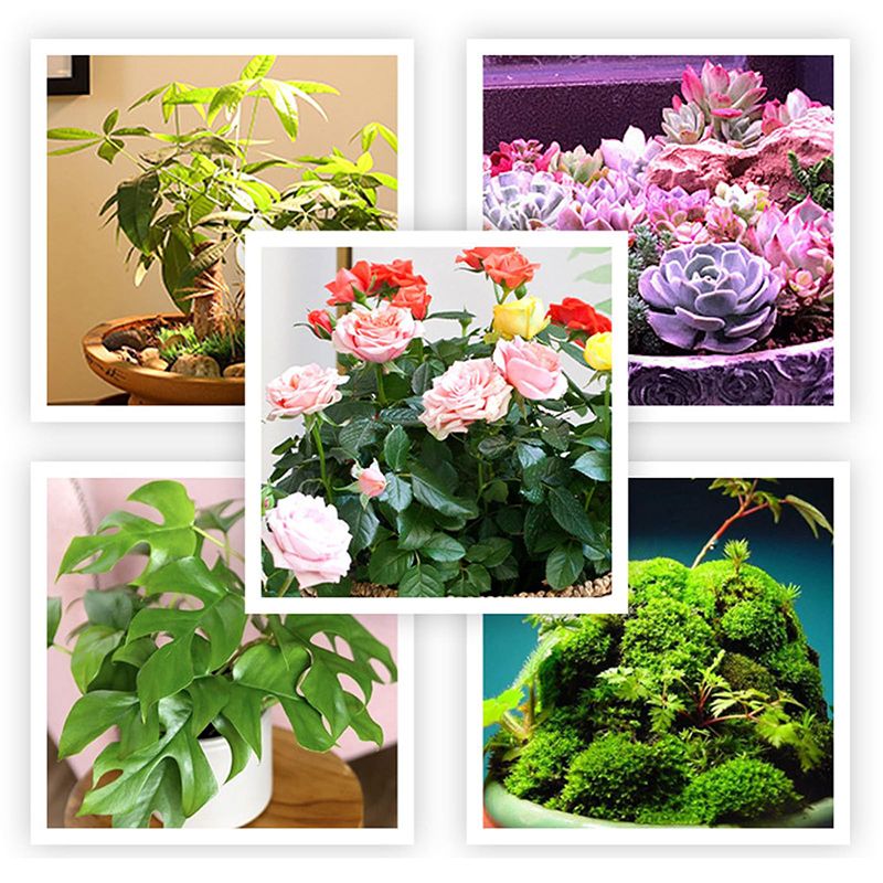 Минифермер Фитолампа