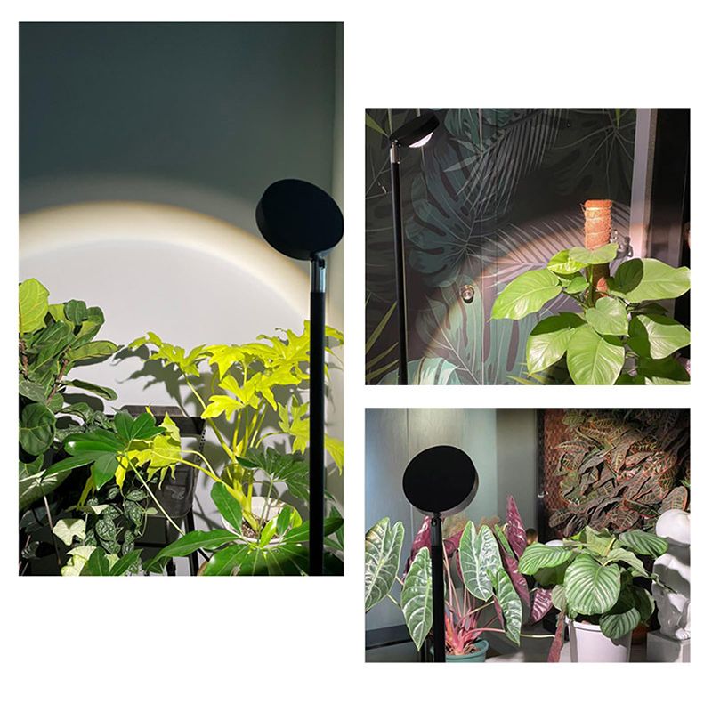 Минифермер Фитолампа