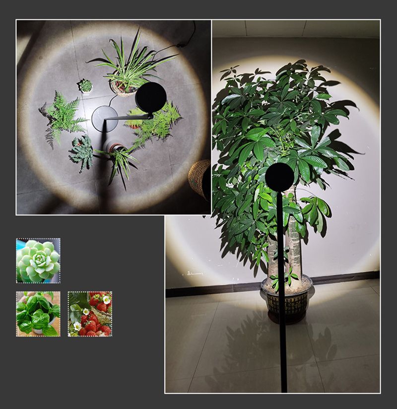 Минифермер Фитолампа