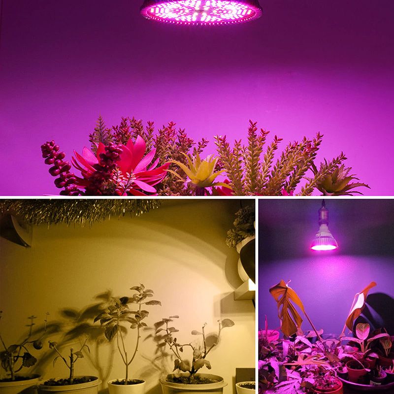 Минифермер Фитолампа