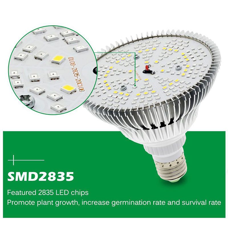 Минифермер Фитолампа