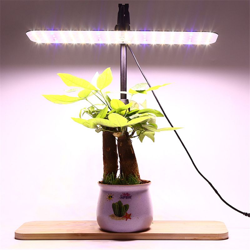 Минифермер Фитолампа